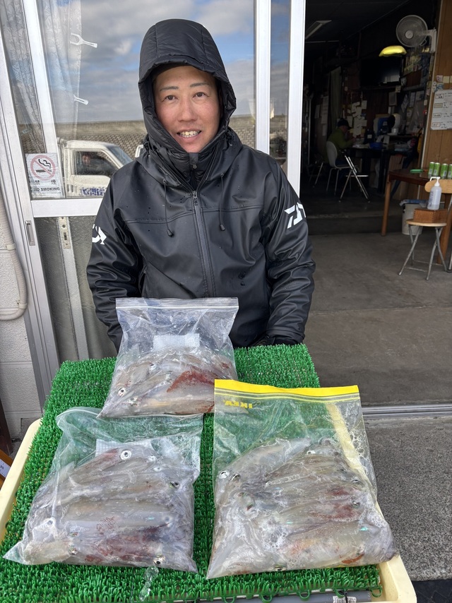 マルイカ(ケンサキイカ)