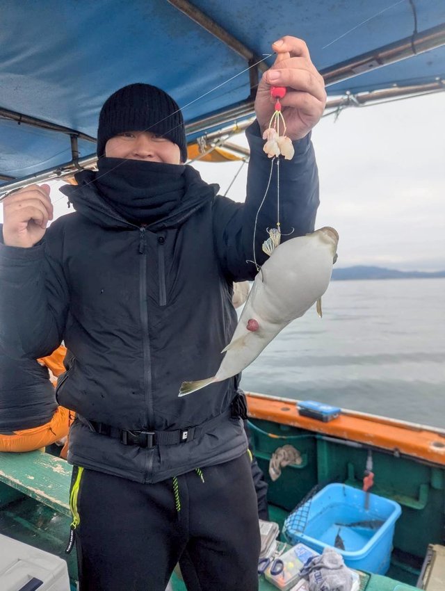 ショウサイフグ