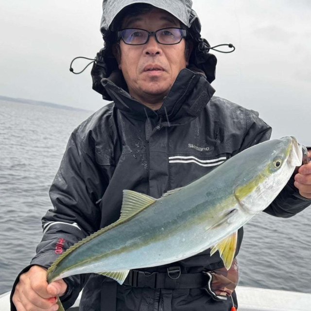 フクラギ(ブリ)