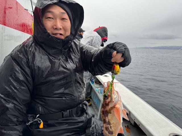 ヤナギ(ウスメバル)