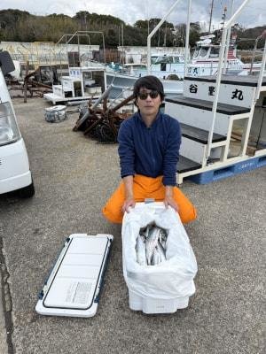 サゴシ(サワラ)・ヤナギ(サワラ)