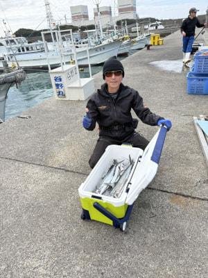 サゴシ(サワラ)・ヤナギ(サワラ)