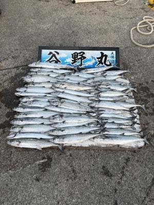 サゴシ(サワラ)・ヤナギ(ウスメバル)