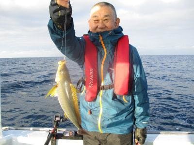 イサギ(イサキ)