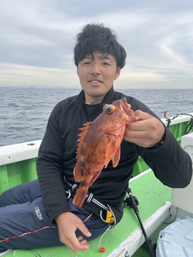 カンコ(ウッカリカサゴ)