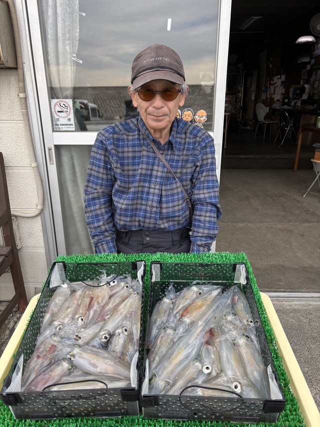 マルイカ(ケンサキイカ)