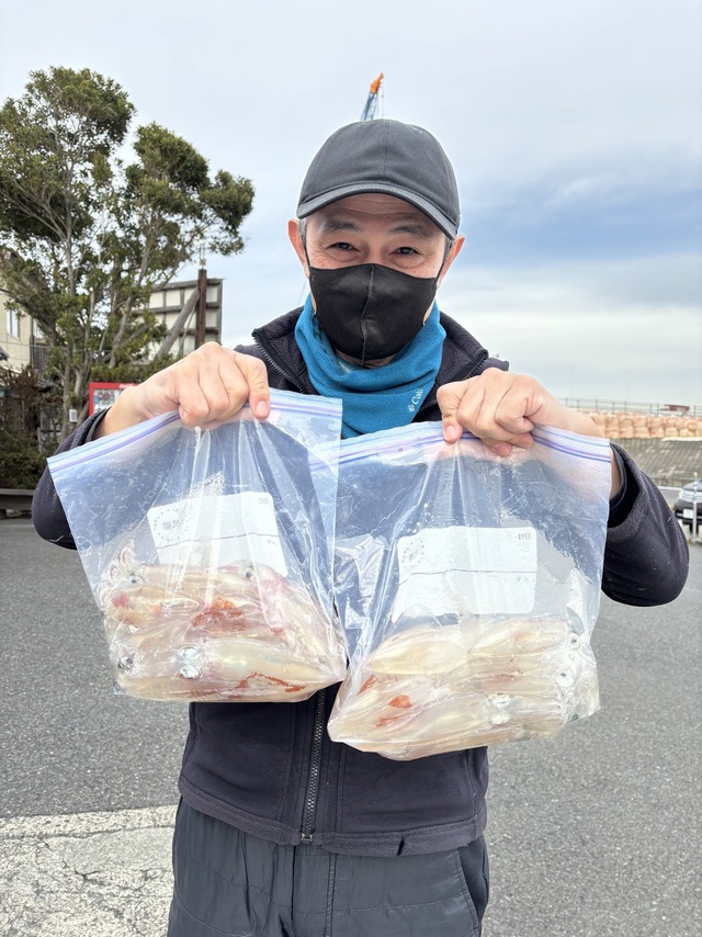 マルイカ(ケンサキイカ)