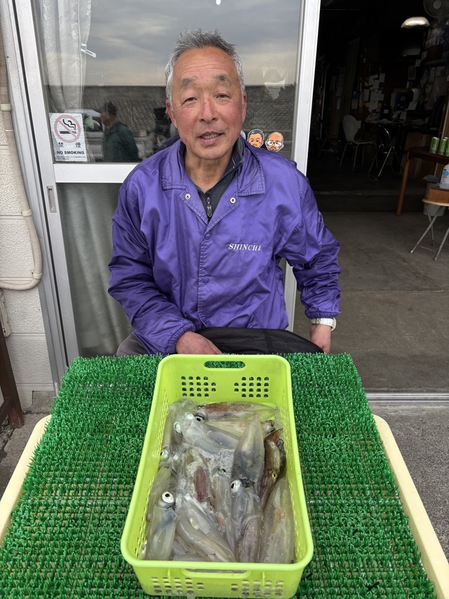 マルイカ(ケンサキイカ)