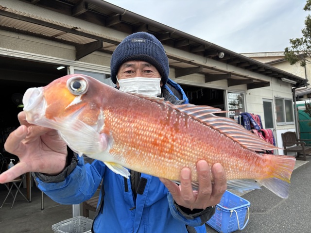 アマダイ(アカアマダイ)