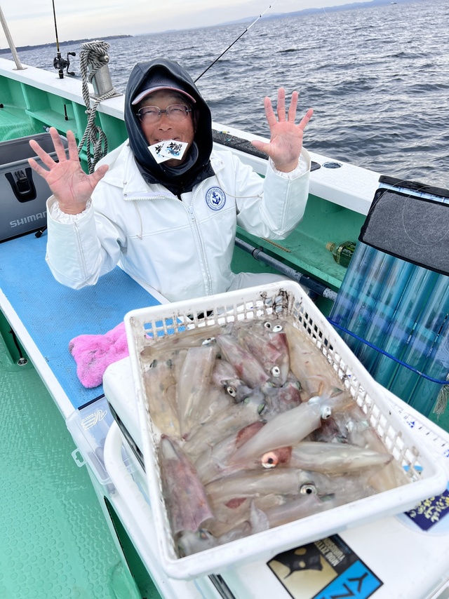 マルイカ(ケンサキイカ)