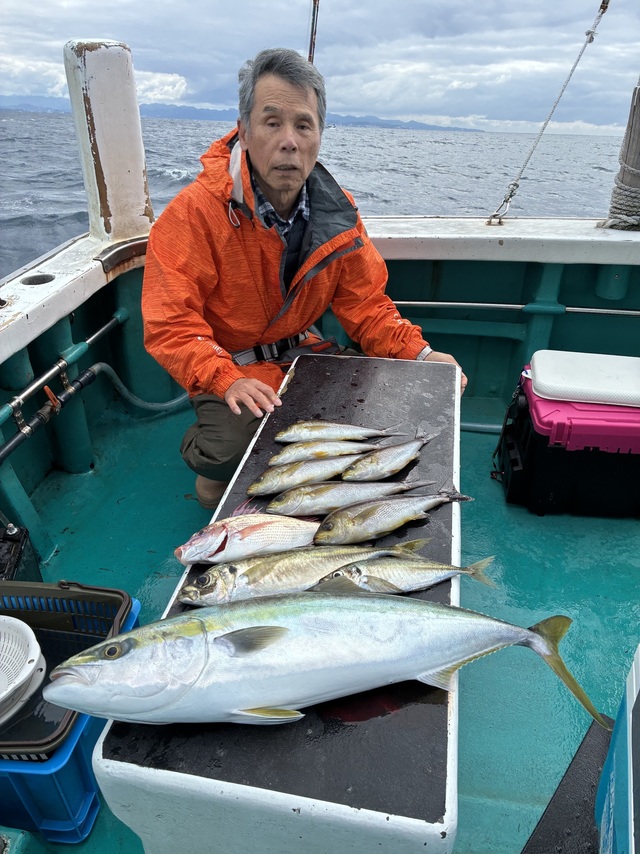 マアジ・メジロ(ブリ)