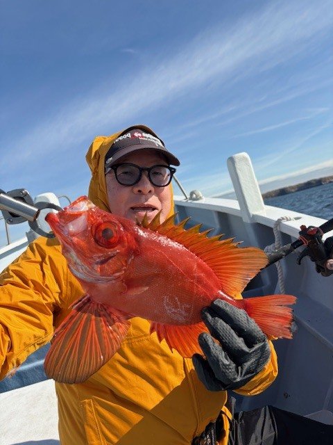 キントキ(チカメキントキ)