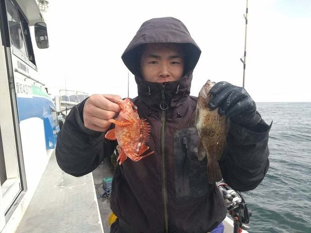 カサゴ・メバル