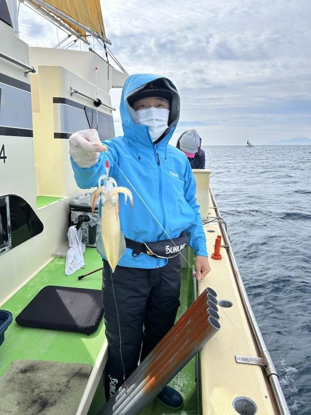 マルイカ(ケンサキイカ)