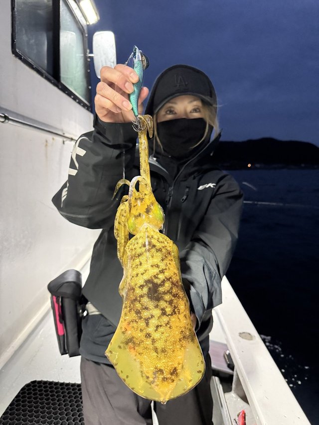 関東で釣れたアオリイカの最新釣果、釣り情報【2026年2月】