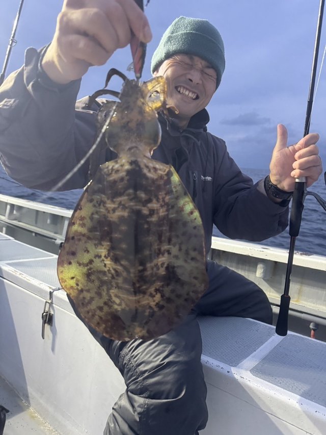 関東で釣れたアオリイカの最新釣果、釣り情報【2026年2月】