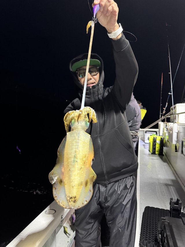 関東で釣れたアオリイカの最新釣果、釣り情報【2026年2月】
