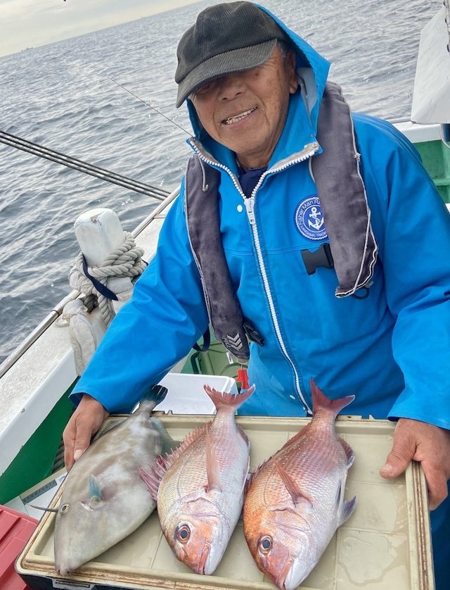 マダイ・ウマヅラハギ