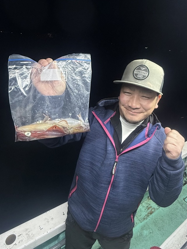 マルイカ(ケンサキイカ)