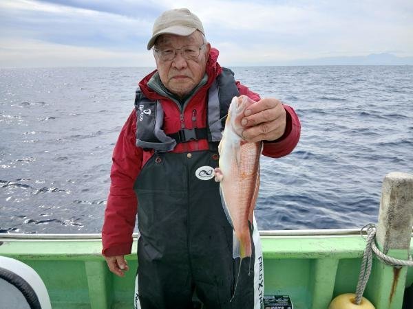 アマダイ(アカアマダイ)