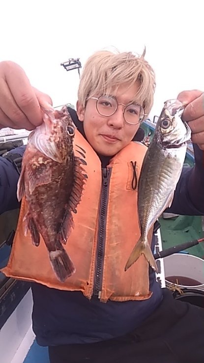 アジ(マアジ)・カサゴ