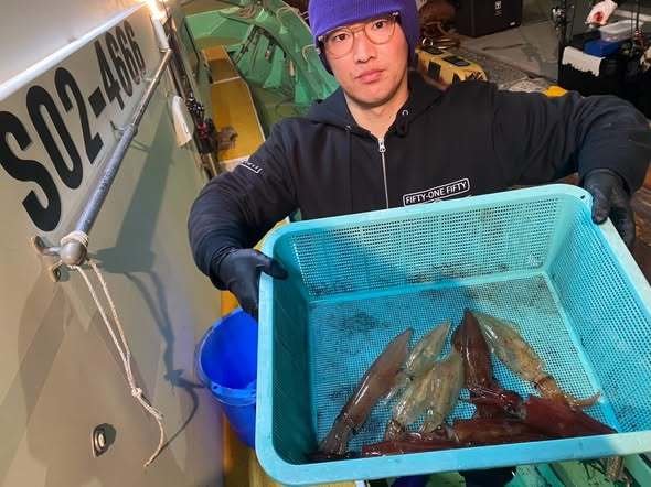 マルイカ(ケンサキイカ)