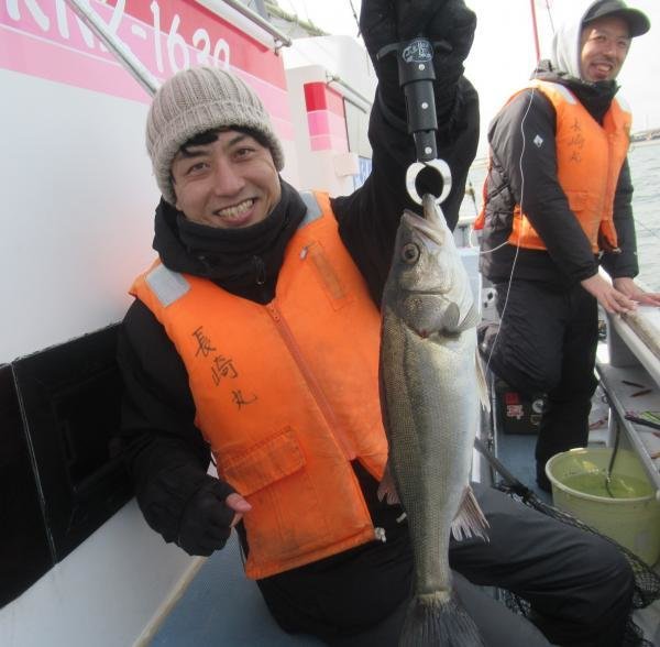 シーバス(スズキ)