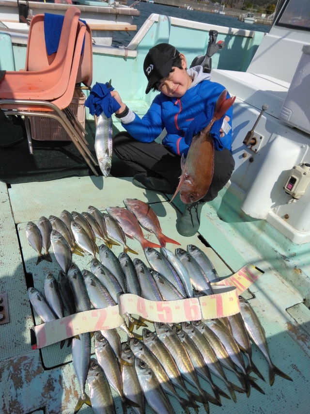 マダイ・マアジ・マサバ