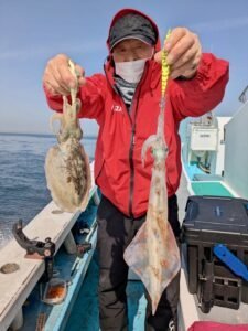 ヤリ(ヤリイカ)・コウイカ