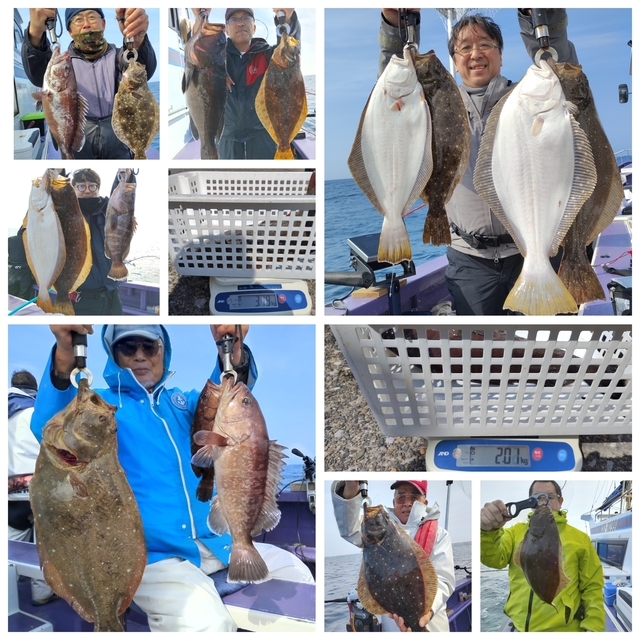 マハタ・ヒラメ