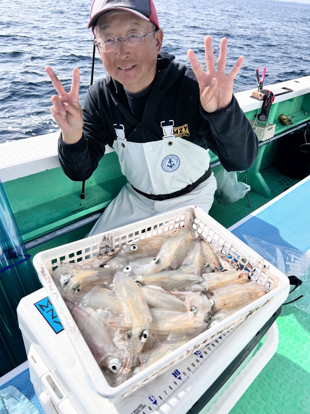 マルイカ(ケンサキイカ)