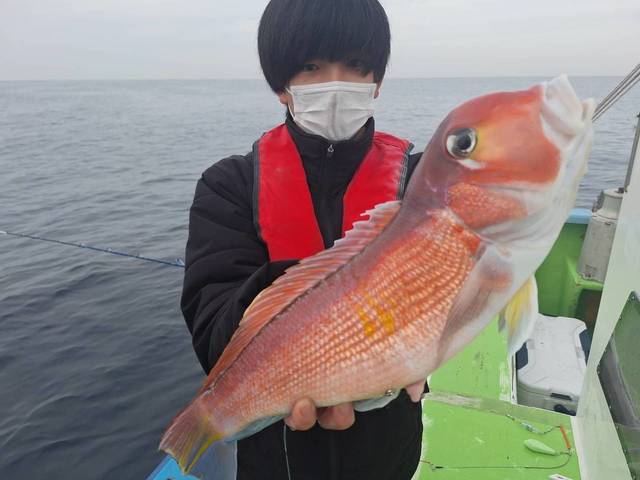 アマダイ(アカアマダイ)