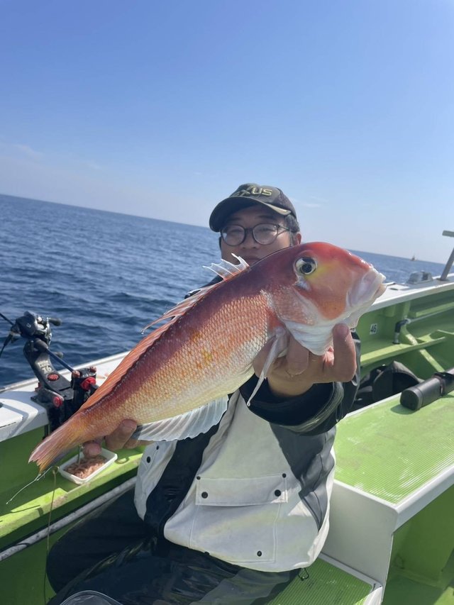 アマダイ(アカアマダイ)