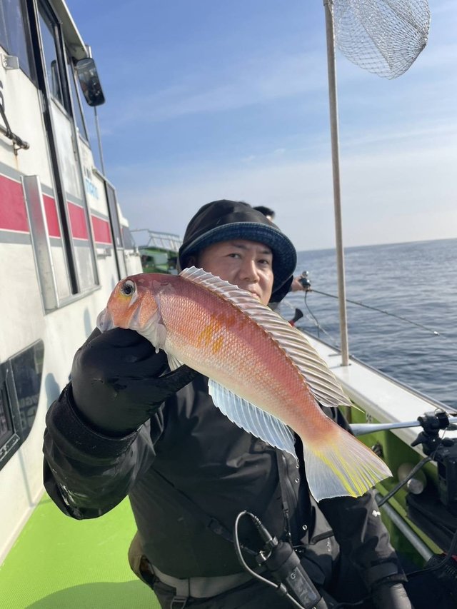 アマダイ(アカアマダイ)