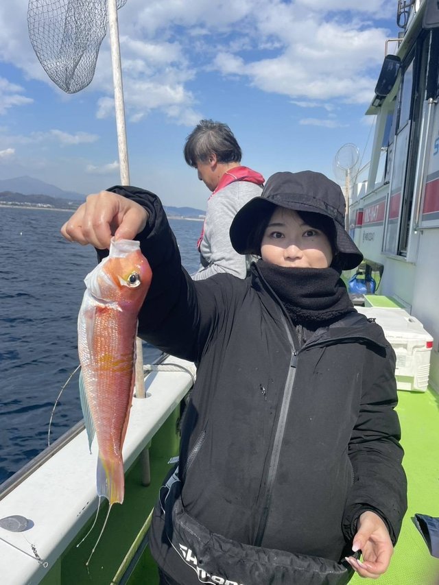 アマダイ(アカアマダイ)