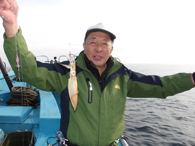 マルイカ(ケンサキイカ)