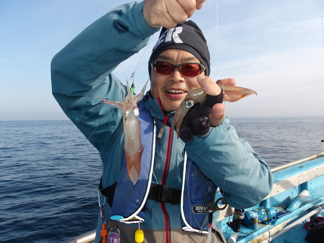 マルイカ(ケンサキイカ)