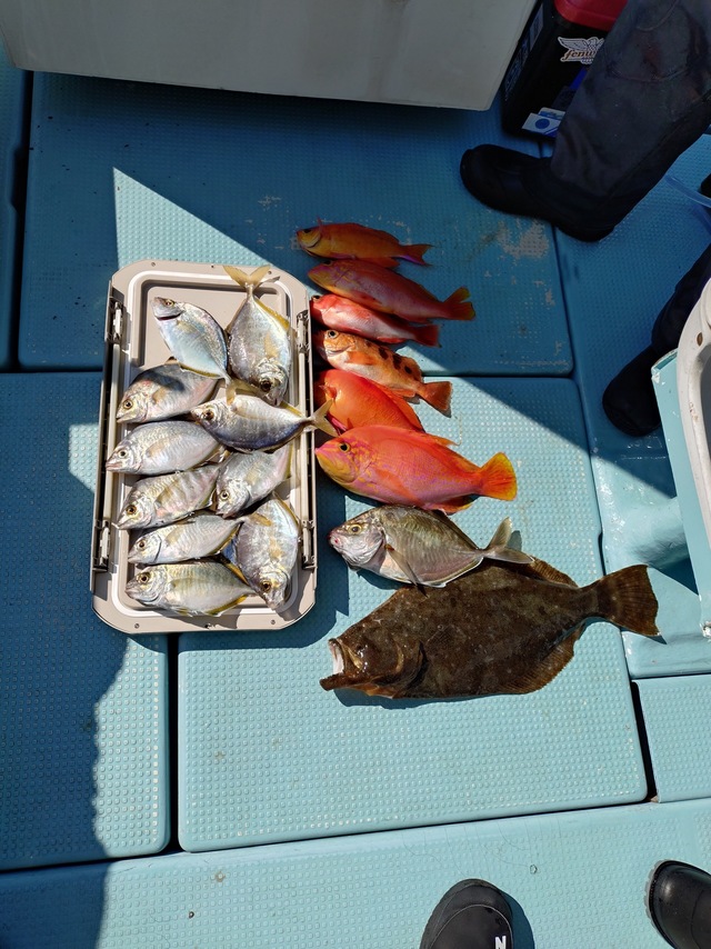 カイワリ・アマダイ(アカアマダイ)・キントキ(チカメキントキ)・ヒラメ