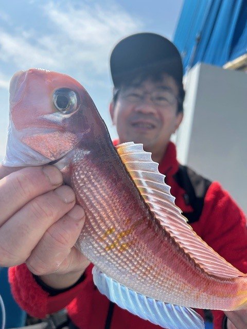 アマダイ(アカアマダイ)