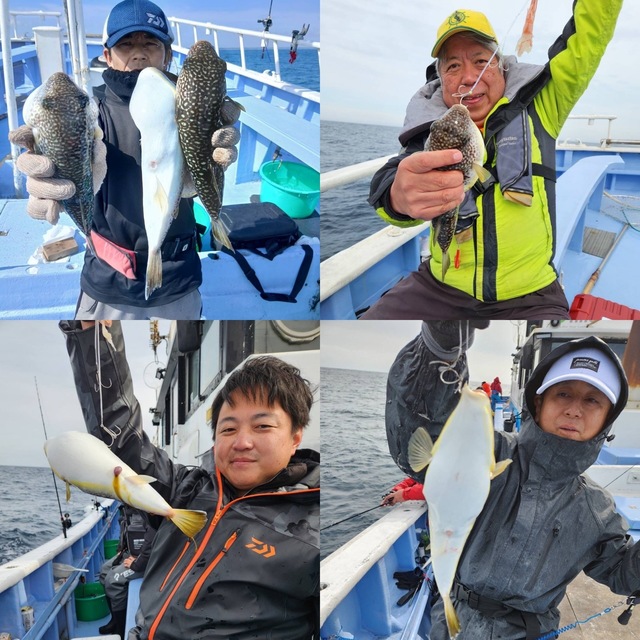 ショウサイフグ