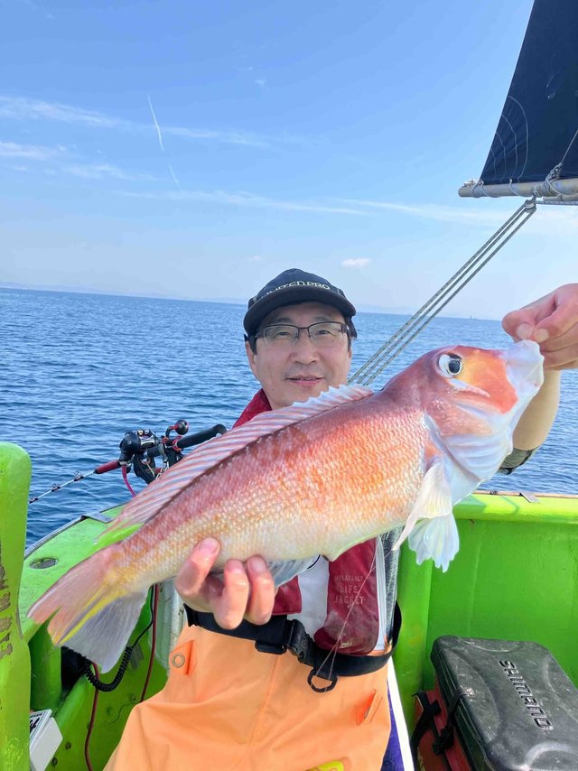 アマダイ(アカアマダイ)