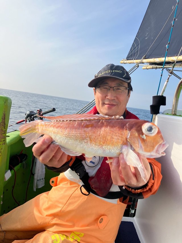 アマダイ(アカアマダイ)