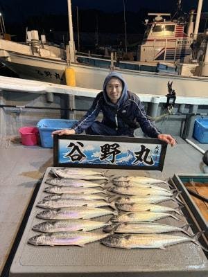 サゴシ(サワラ)・ヤナギ(ウスメバル)