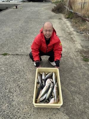 チダイ・マアジ・イサギ(イサキ)