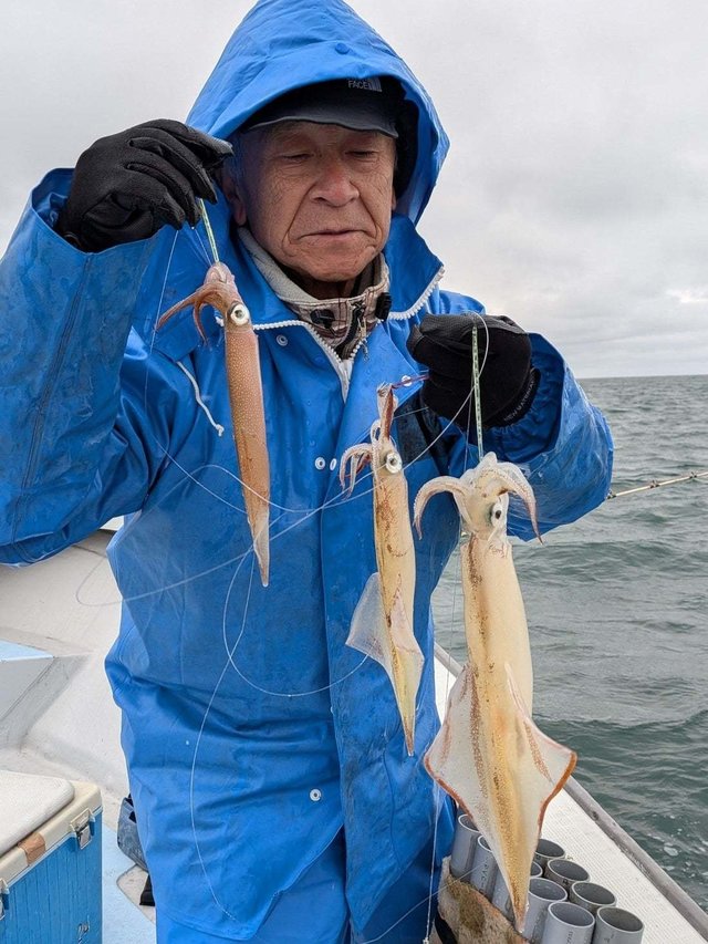 ケンサキイカ・ヤリイカ