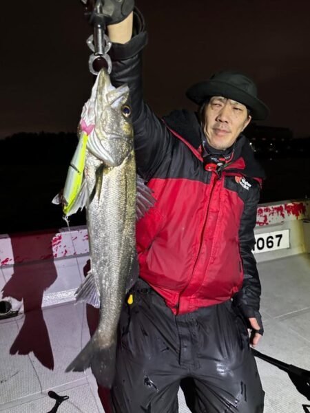 シーバス(スズキ)