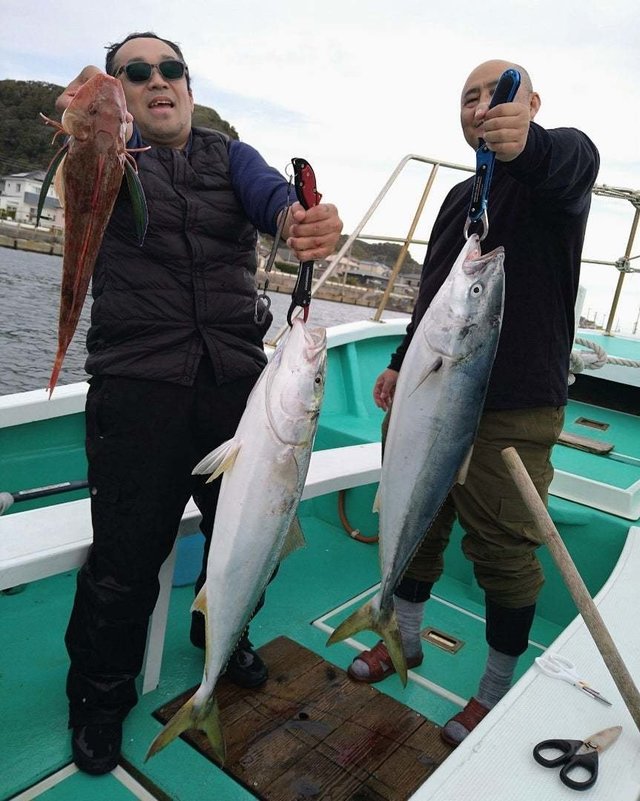 ブリ・ワラサ(ブリ)・ホウボウ