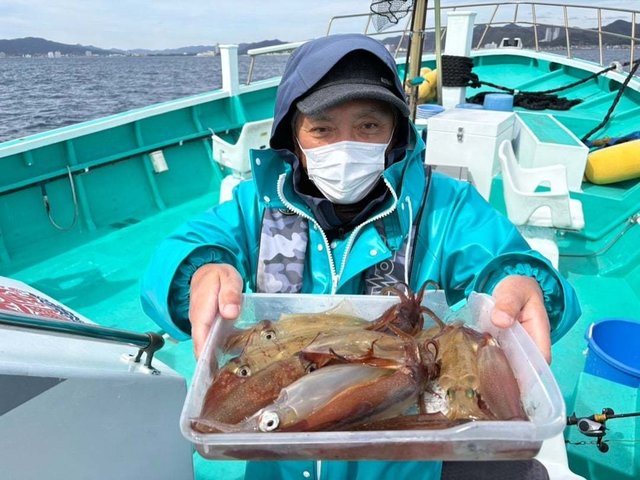 マルイカ(ケンサキイカ)