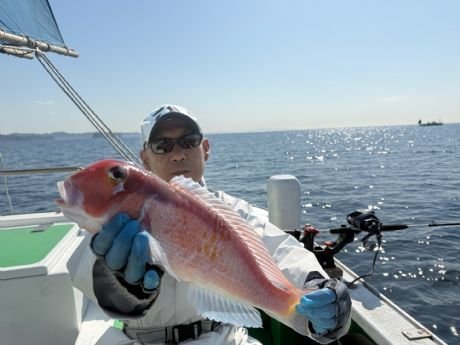 アマダイ(アカアマダイ)