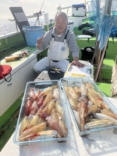 マルイカ(ケンサキイカ)